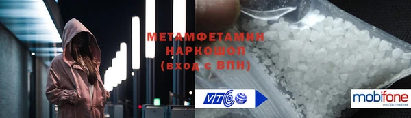 прущие грибы Всеволожск